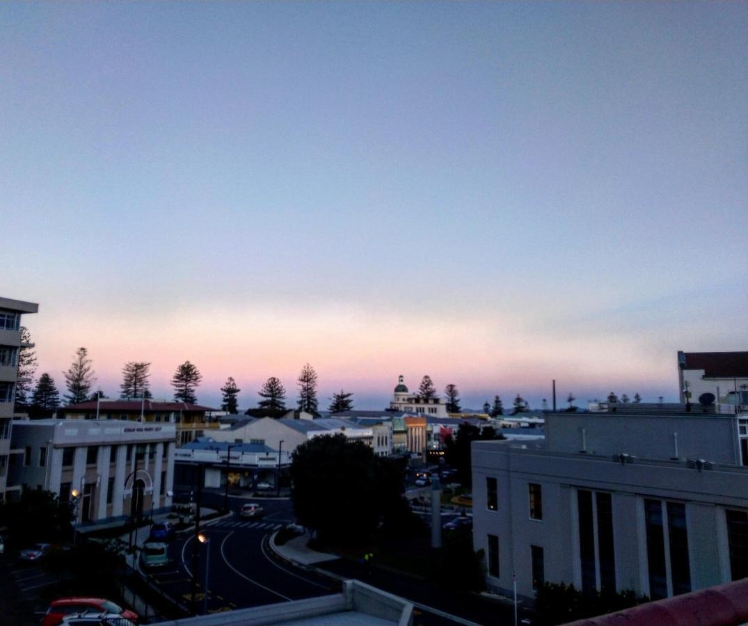 Crashpalace Backpackers Napier Eksteriør bilde