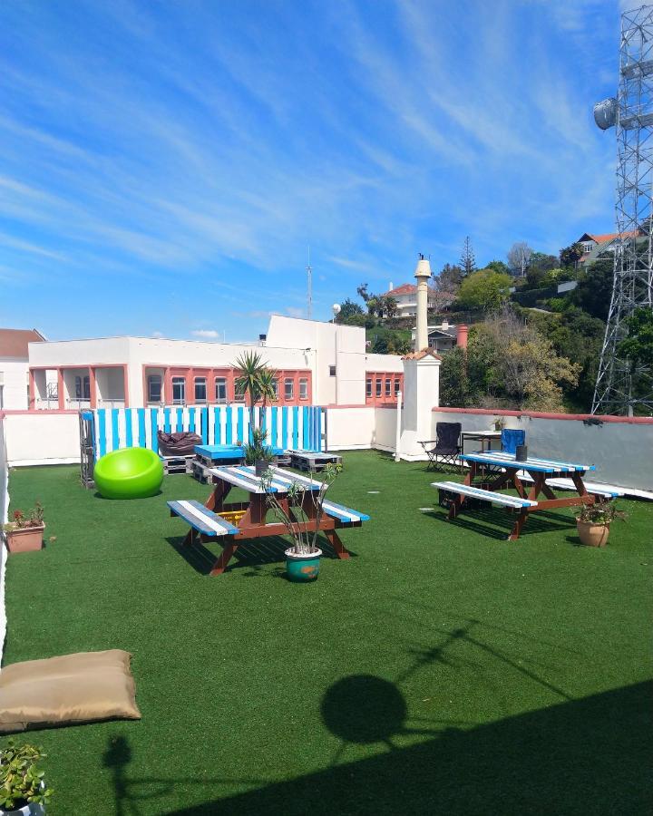 Crashpalace Backpackers Napier Eksteriør bilde